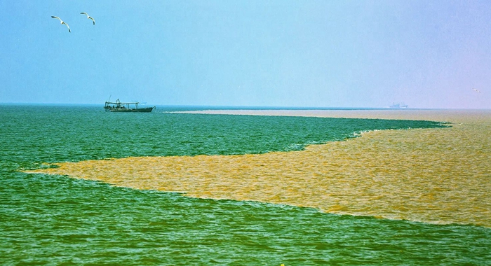 66.jpg