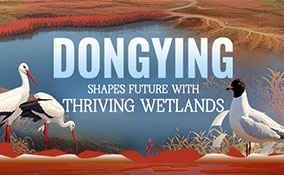 Dongying shapes future with thriving wetlands