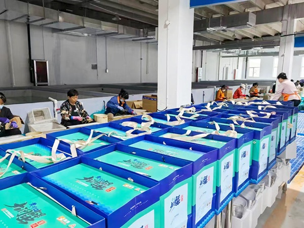 Dongying's Yellow River estuary hairy crab industry drives economic growth and rural vitalization