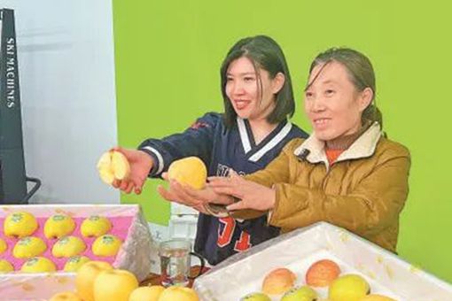 山东3_510.jpg