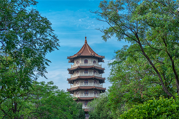 VCG肥城龙山公园_副本.jpg