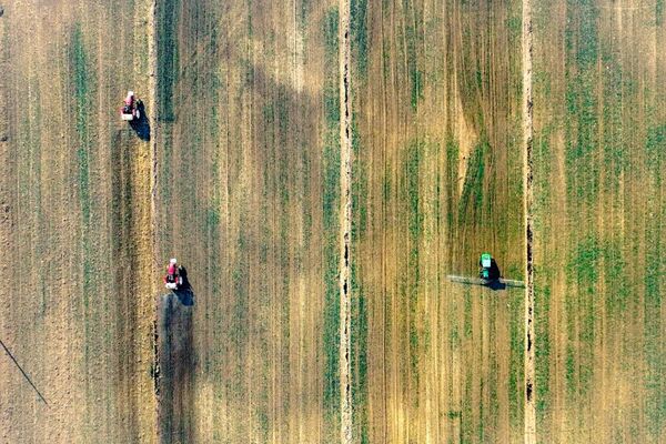 Weifang's agricultural blueprint aligns with China's 'No 1 Central Document'