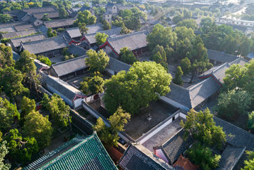 Jining leads way in innovation, green development for stronger future
