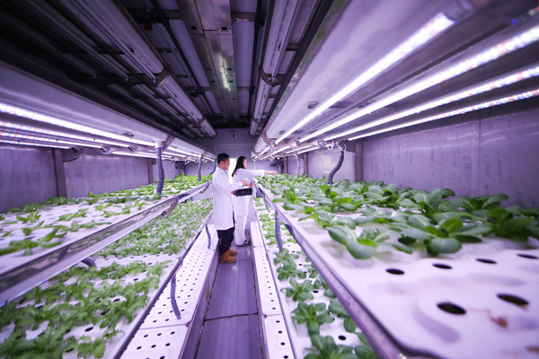 Repurposed shipping containers revolutionize farming in Weifang