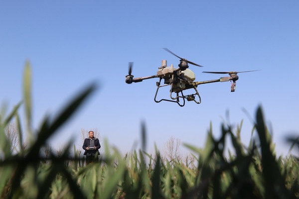 AI, innovation transform Weifang agriculture