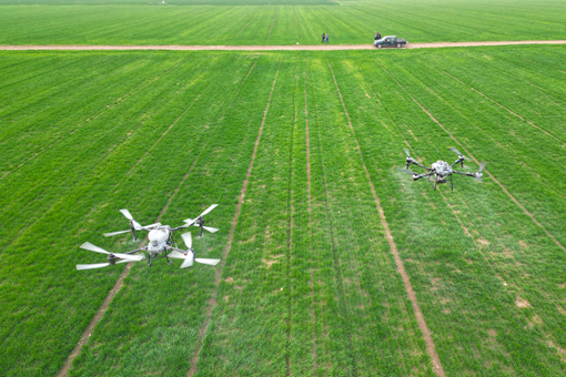 Tech helps boost Shandong's spring farming