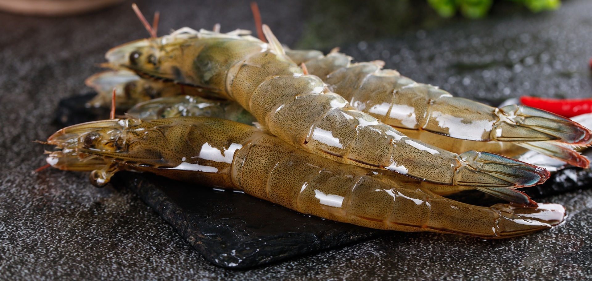 Dongying's town boosts shrimp industry development
