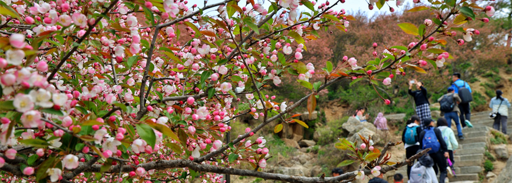 Tourism flourishes in Tai'an during May Day holiday