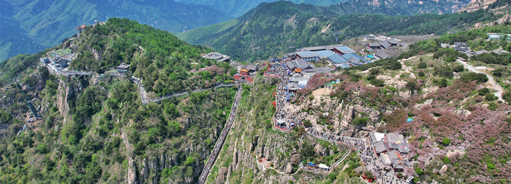 Majestic Taishan Mountain in summer