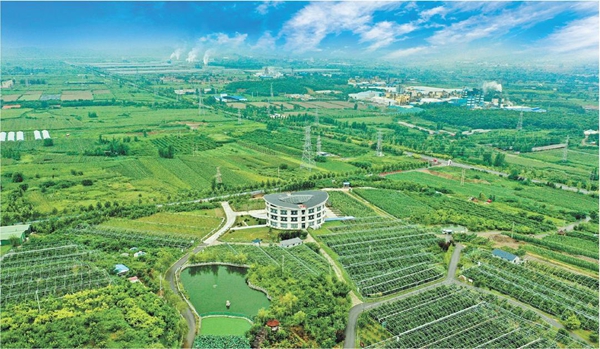 山东2-1_600.jpg