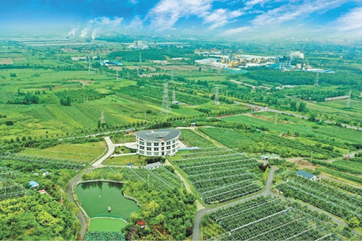 山东2-1_510-340.jpg