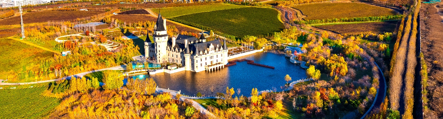 Yantai wine soars from fine vintages to lifestyle craft