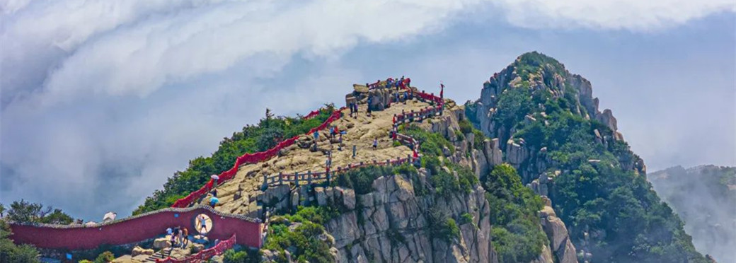 Taishan's ancient trees remain firmly rooted