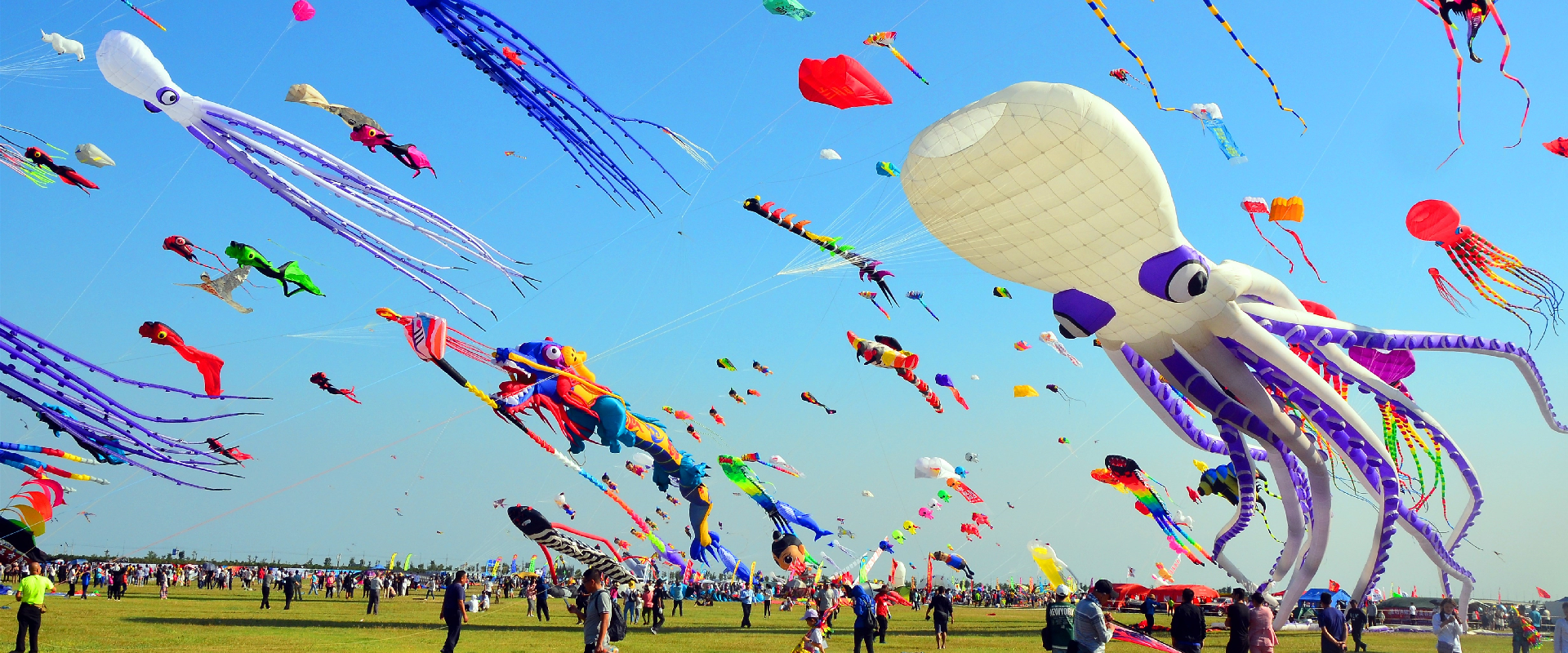 Carnival of colors
