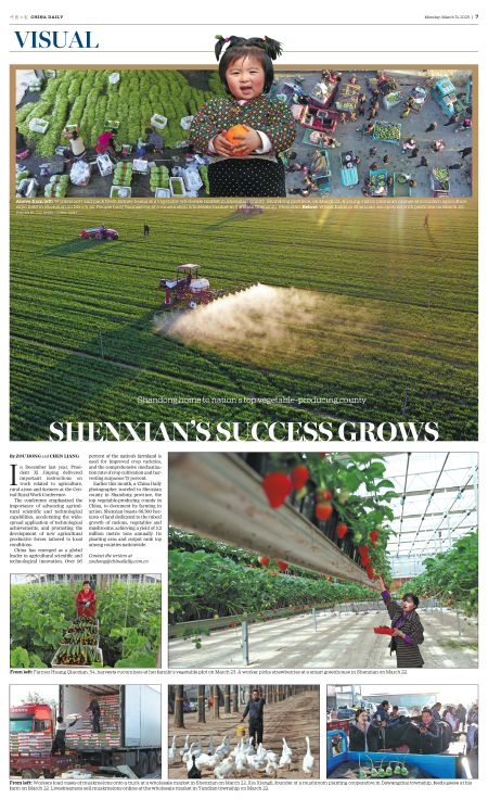 news-chinadaily-00000-20250331-m-007-300.png
